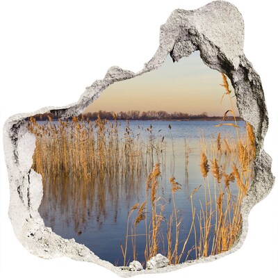 Samolepící nálepka beton Zátoka s rákosím