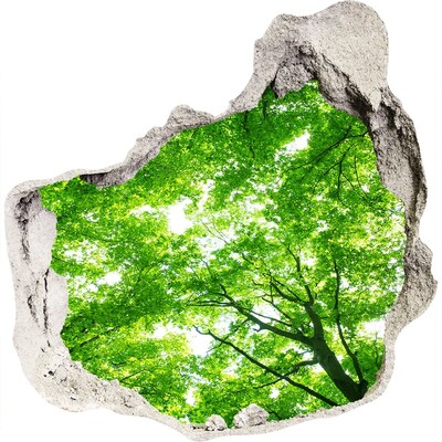 Samolepící nálepka fototapeta Zelený les