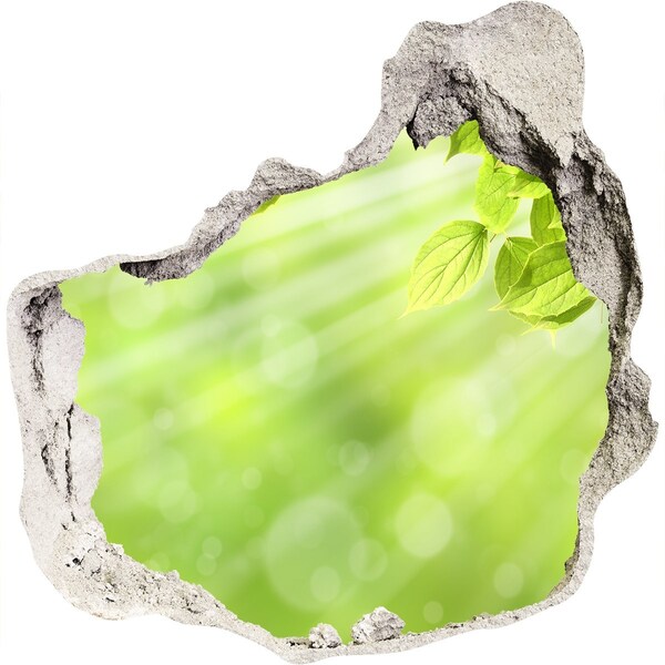 Samolepící nálepka fototapeta Zelený ráj za zdí