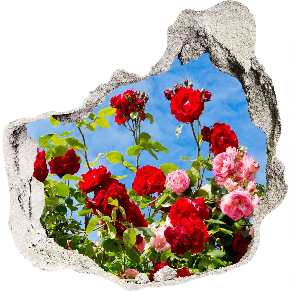 Samolepící nálepka na zeď Divoké růže