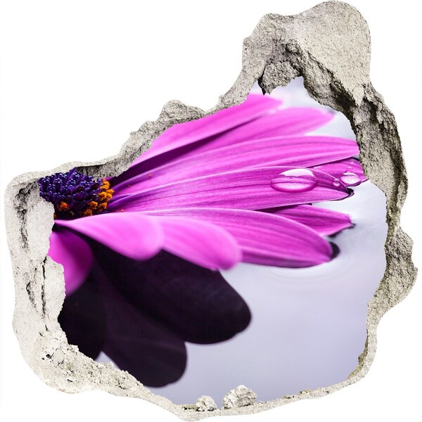 Samolepící nálepka fototapeta Květinová oáza za zdí