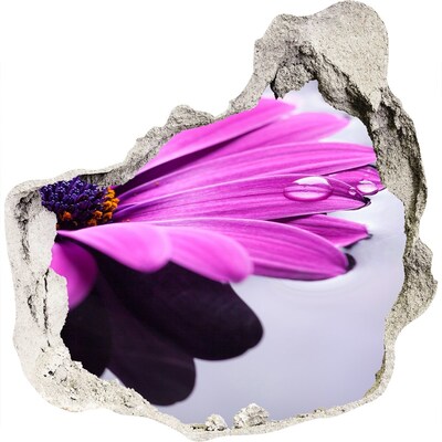 Samolepící nálepka fototapeta Květinová oáza za zdí