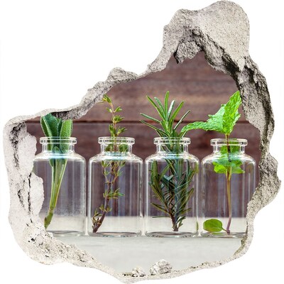 Samolepící nálepka Rostliny ve sklenicích