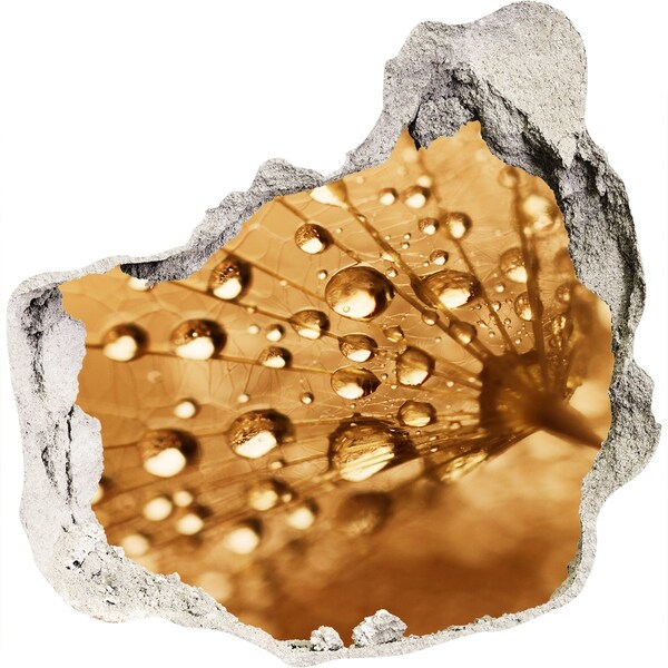 Samolepící nálepka fototapeta Kapky na listu