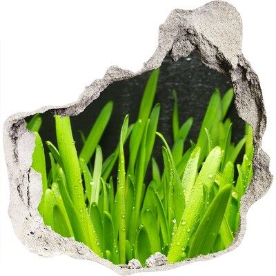 Samolepící nálepka na zeď fototapeta Zelený ráj za zdí