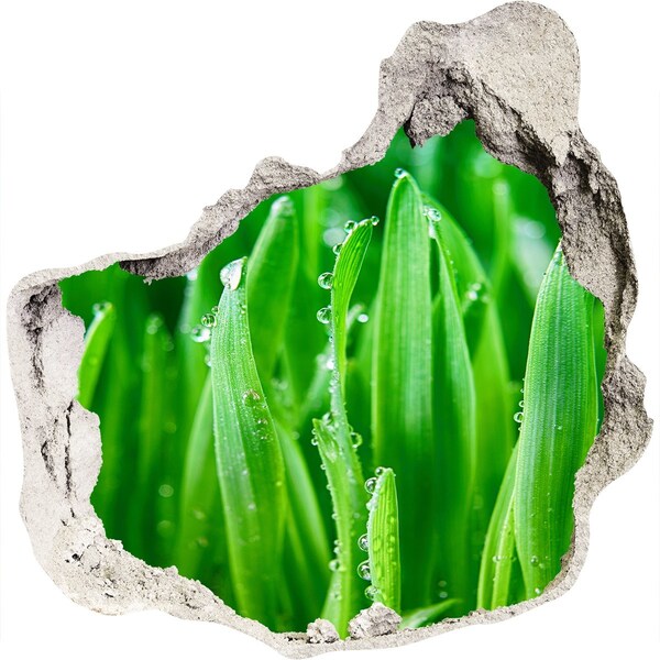 Samolepící nálepka na zeď fototapeta Zelená louka s kapkami vody