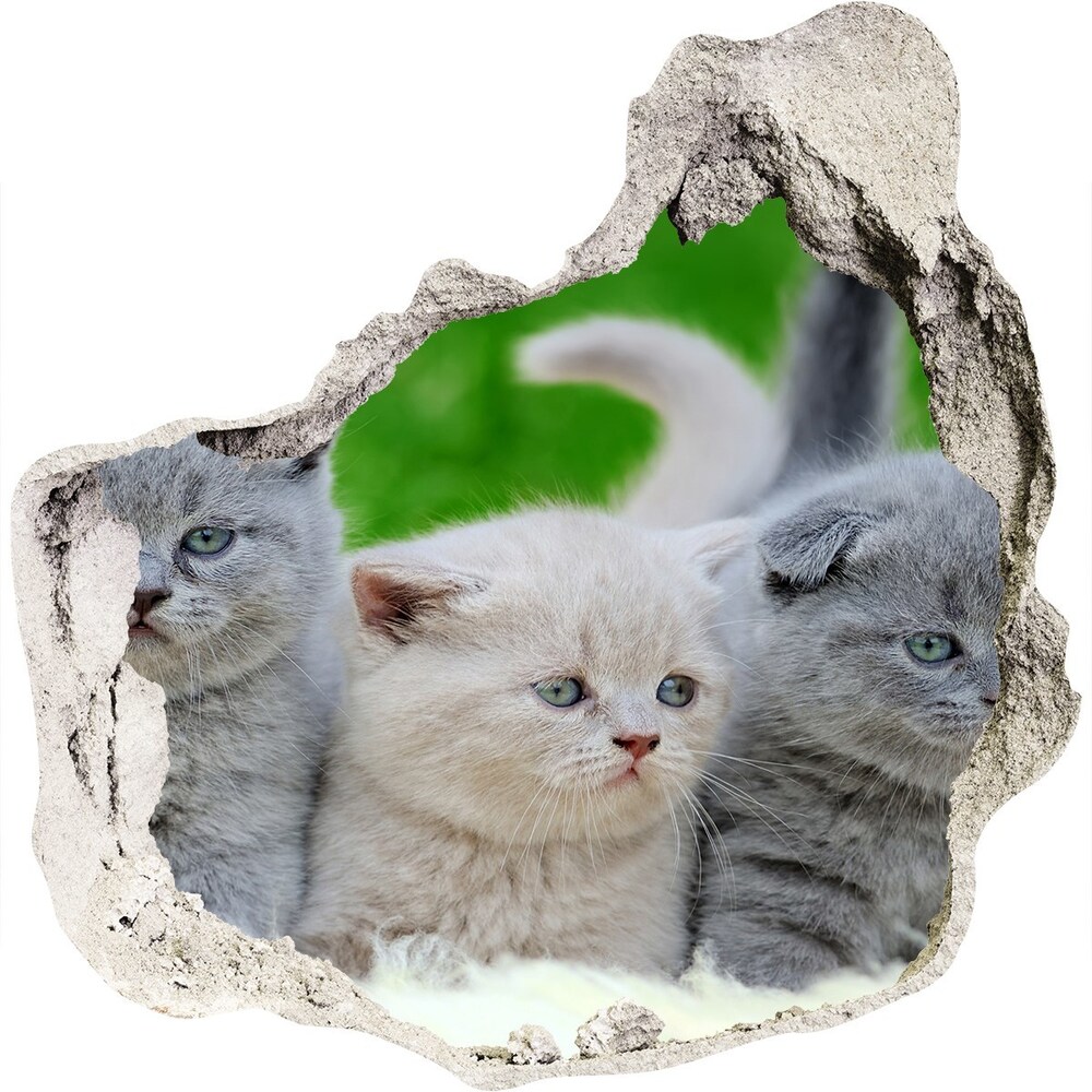 Díra 3D fototapeta nálepka Tři kočky na dece