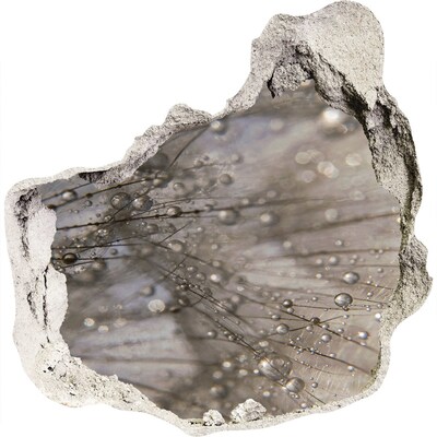 Samolepící nálepka na zeď Kapky vody na skle