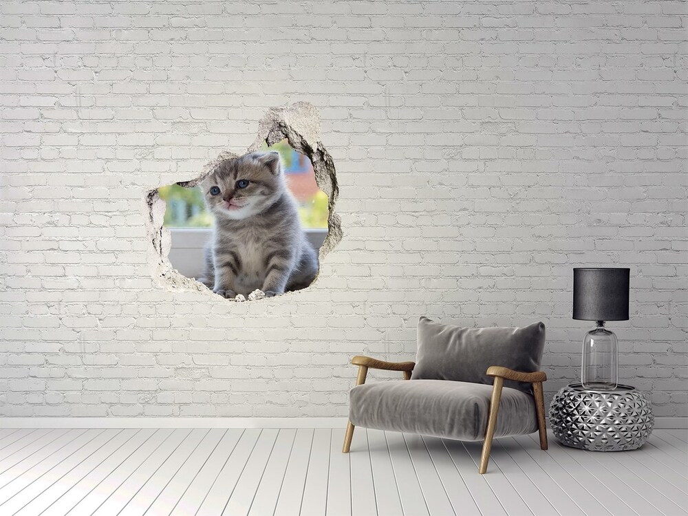 Díra 3D fototapeta na stěnu Malá kočka u okna