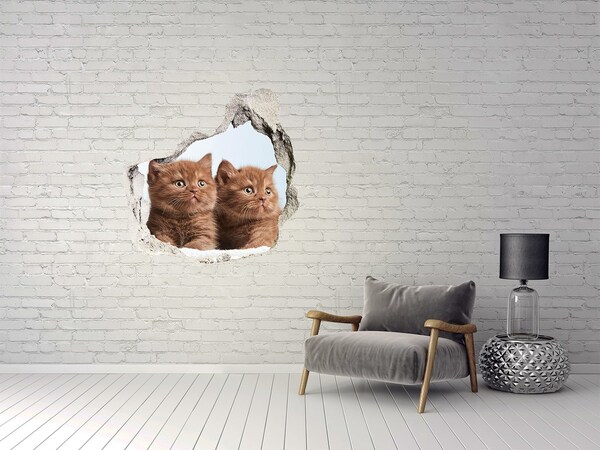 Díra 3D fototapeta na stěnu Kočičky na ručníku