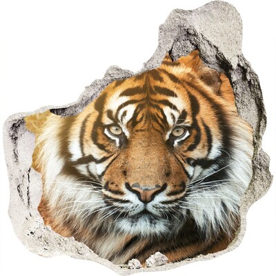 Díra 3D fototapeta na stěnu Bengálský tygr