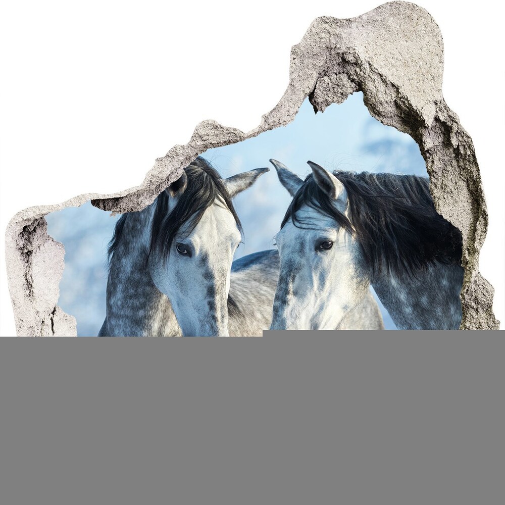 Díra 3D fototapeta nálepka Šedí koně zima