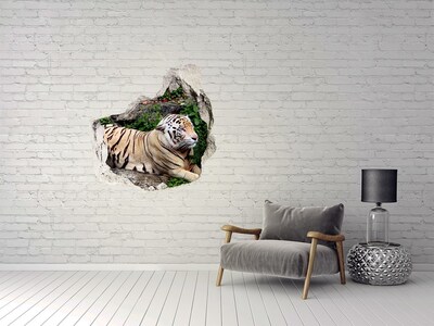 Fototapeta díra na zeď Tygr na skále