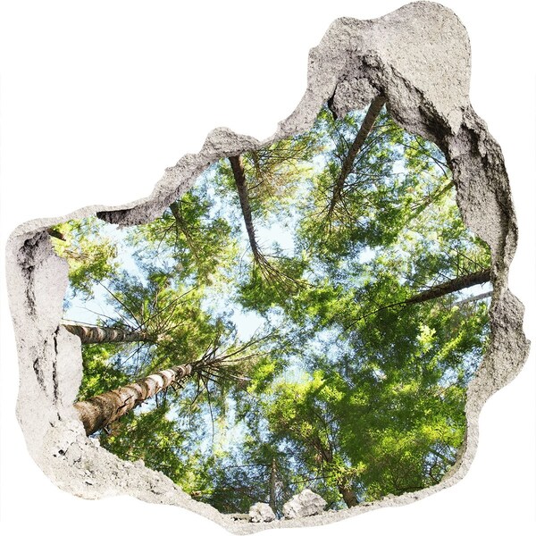 Díra 3D ve zdi na stěnu Pohled na les s modrou oblohou