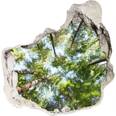 Díra 3D ve zdi na stěnu Pohled na les s modrou oblohou