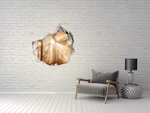 Díra 3D ve zdi nálepka Lesní průsmyk Slunce