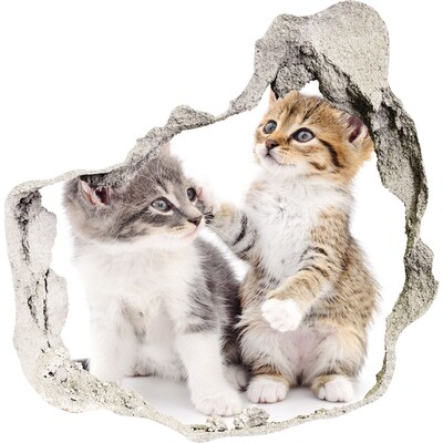 Díra 3D fototapeta nálepka Dvě malé kočky