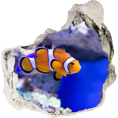 Díra 3D fototapeta Korálový útes
