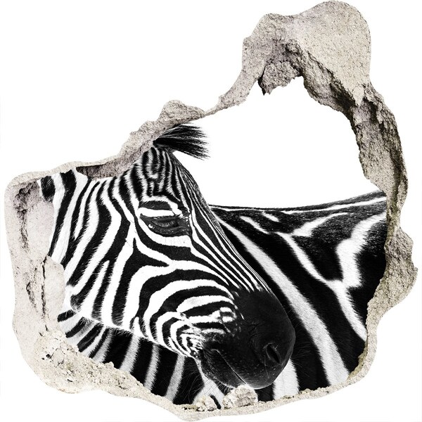 Díra 3D fototapeta nálepka Zebra v díře ve zdi