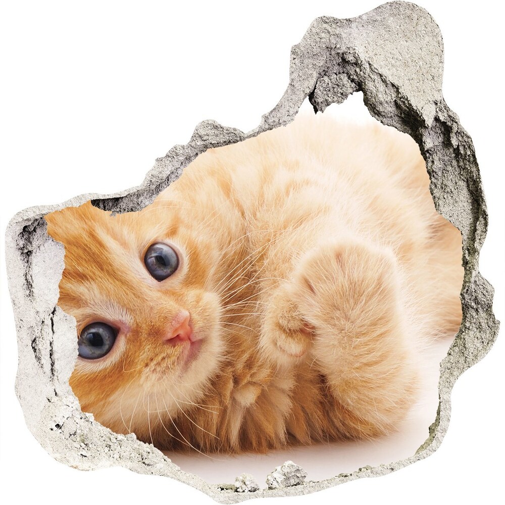 Díra 3D fototapeta nálepka Červená kočka