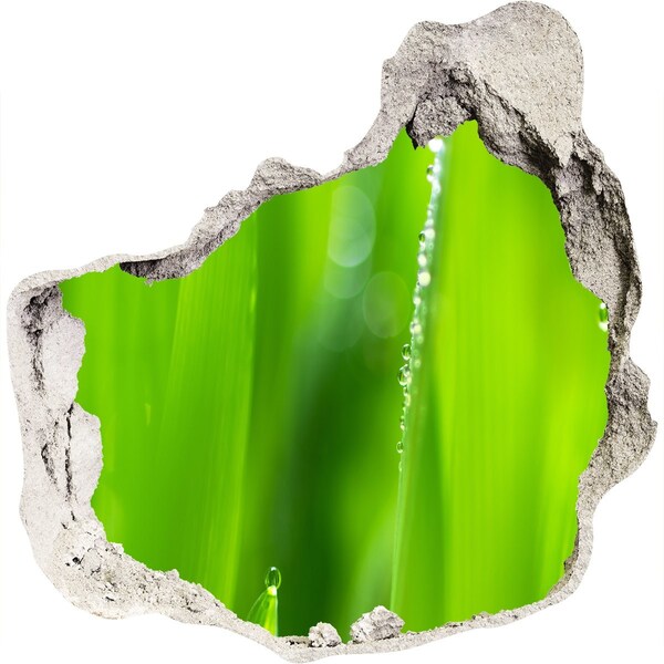 Samolepící nálepka fototapeta Zelená louka s kapkami vody