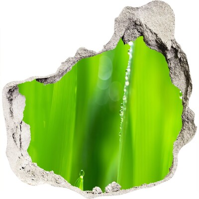 Samolepící nálepka fototapeta Zelená louka s kapkami vody