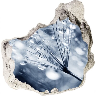 Samolepící nálepka Kapky rosy na pampelišce