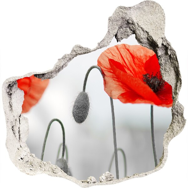 Samolepící nálepka na zeď fototapeta Květiny v díře ve zdi