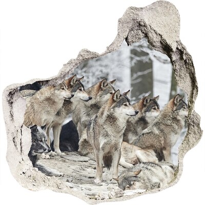 Díra 3D fototapeta nástěnná Nálepka vlci zimou