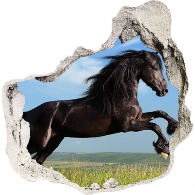 Díra 3D fototapeta na stěnu Černý kůň na louce