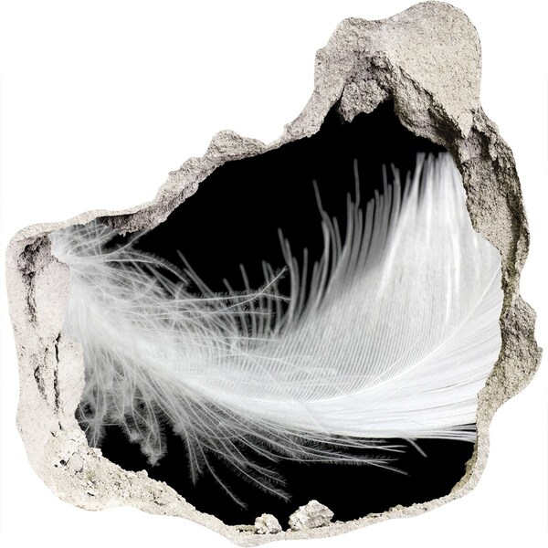 Fototapeta díra na zeď Pírko v díře ve zdi