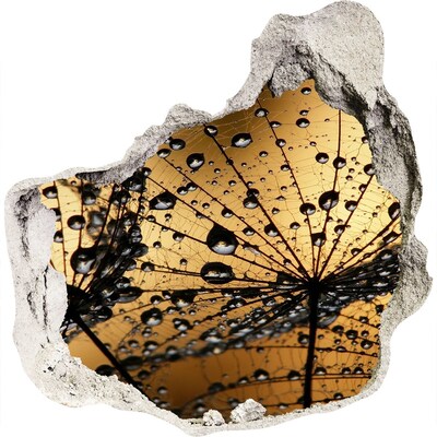 Samolepící nálepka na zeď Kapky na listech