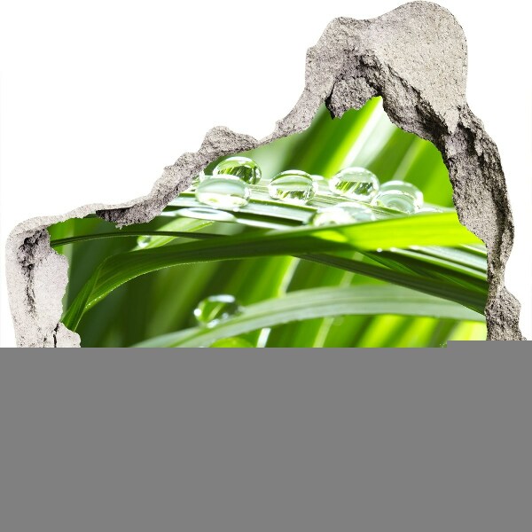 Fototapeta nálepka na zeď Zelená louka s kapkami vody