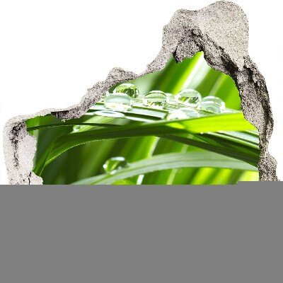 Fototapeta nálepka na zeď Zelená louka s kapkami vody