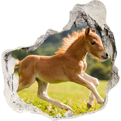 Díra 3D fototapeta nálepka Hříbě ve cvalu