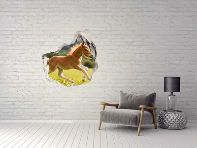 Díra 3D fototapeta nálepka Hříbě ve cvalu