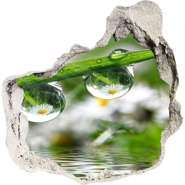 Samolepící díra nálepka Květinová oáza s kapkami vody