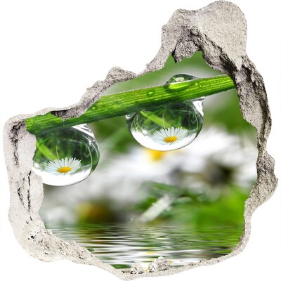 Samolepící díra nálepka Květinová oáza s kapkami vody