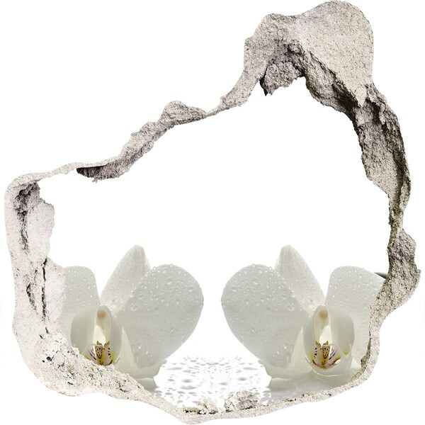 Samolepící díra na stěnu nálepka Květiny v betonu