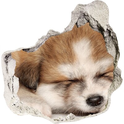 Díra 3D fototapeta nálepka Roztomilé štěně v díře ve zdi