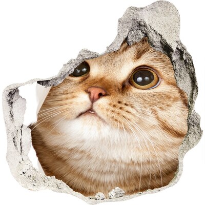 Díra 3D fototapeta na stěnu nálepka Kočka v díře ve zdi