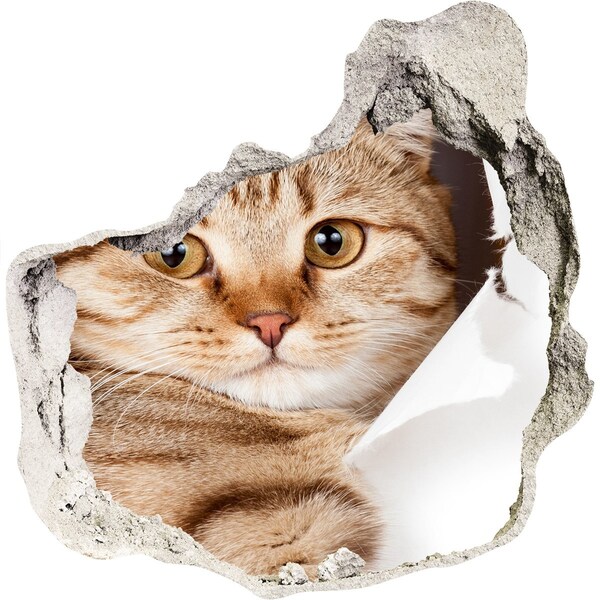 Díra 3D fototapeta na stěnu nálepka Kočka v díře ve zdi