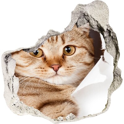 Díra 3D fototapeta na stěnu nálepka Kočka v díře ve zdi