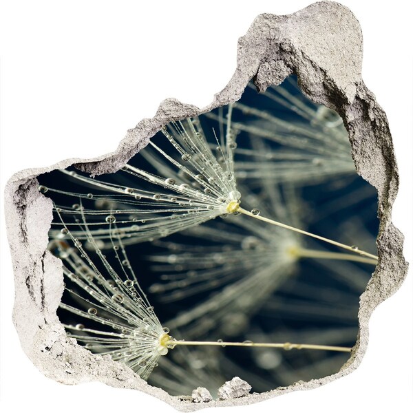 Samolepící díra nálepka Květy pampelišky ve vodě