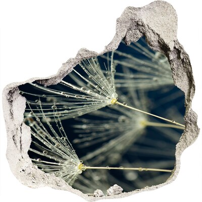 Samolepící díra nálepka Květy pampelišky ve vodě