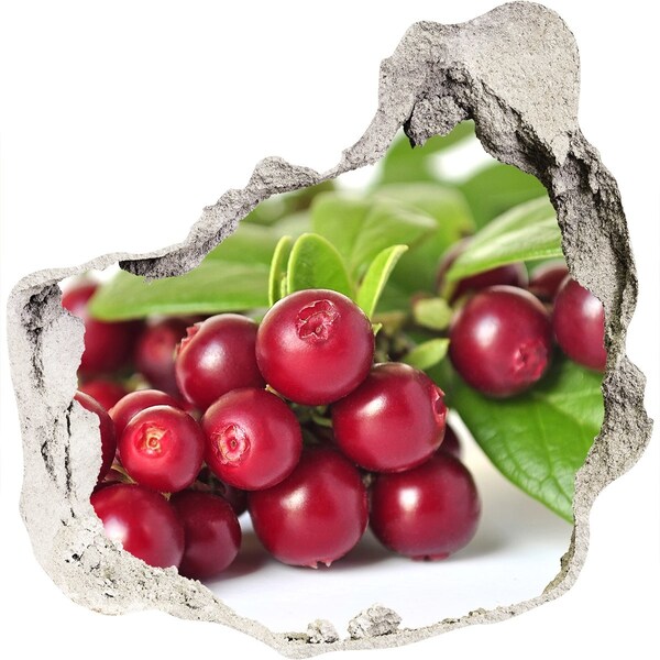 Nálepka 3D díra na zeď Ovocná díra ve zdi