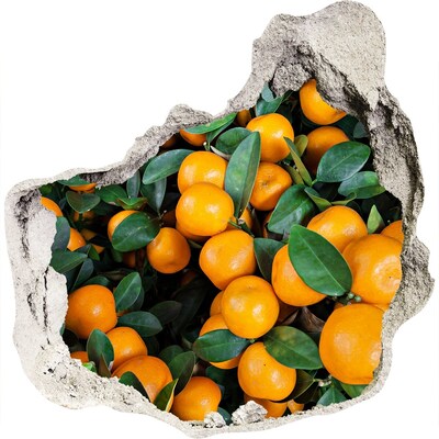 Nálepka 3D díra beton Ovoce v pomerančové zahradě