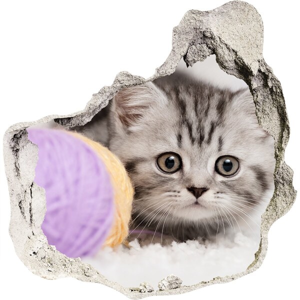 Díra 3D fototapeta nálepka Kotě za zdí