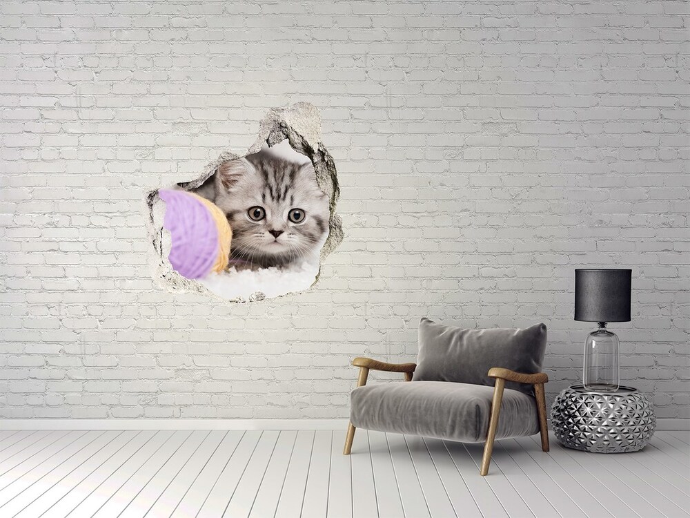Díra 3D fototapeta nálepka Kočka