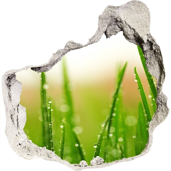 Samolepící díra na stěnu nálepka Zelená louka s kapkami vody